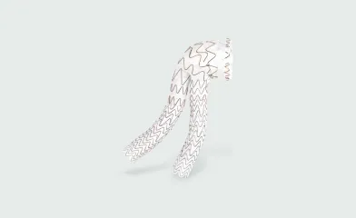 GORE® EXCLUDER® Conformable AAA Endoprosthesis