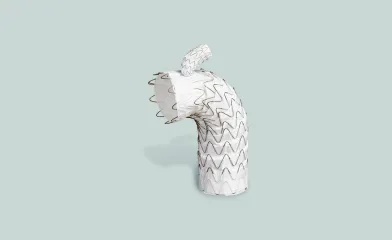 GORE® TAG® Thoracic Branch Endoprosthesis