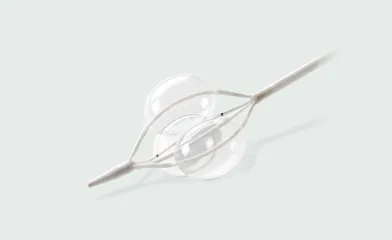 GORE® Tri-Lobe Balloon Catheter