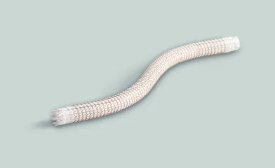 GORE® VIABAHN® Endoprosthesis